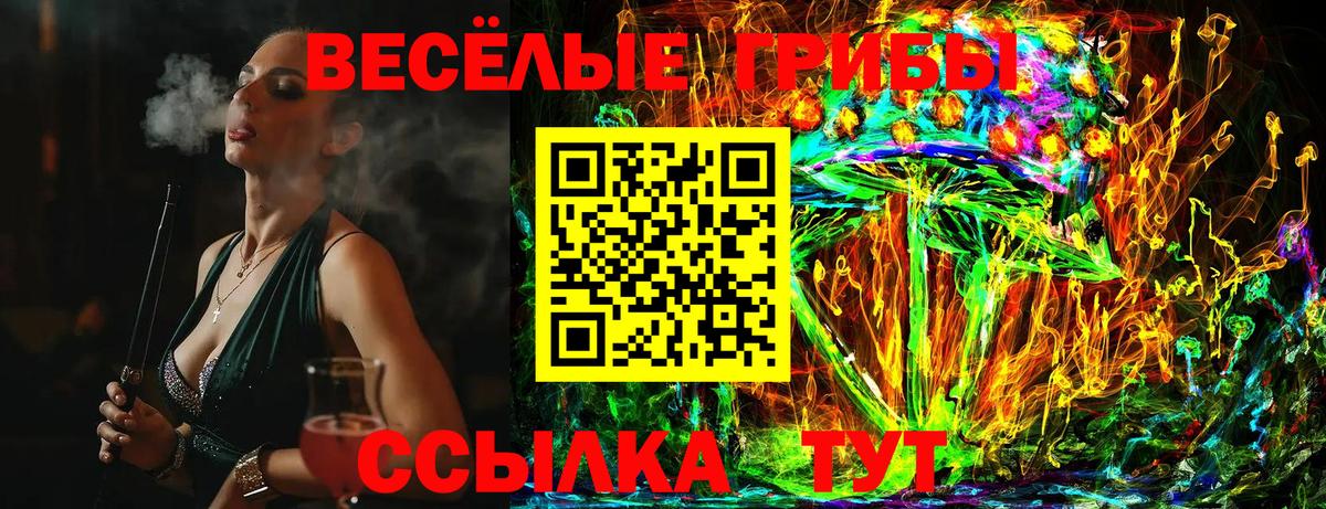 Кимры  закладки  Вход с VPN  Галлюциногенные грибы мицелий  Псилоцибиновые грибы Psilocybine cubensis 