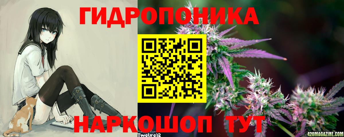 Шишки марихуана AK-47 Кимры